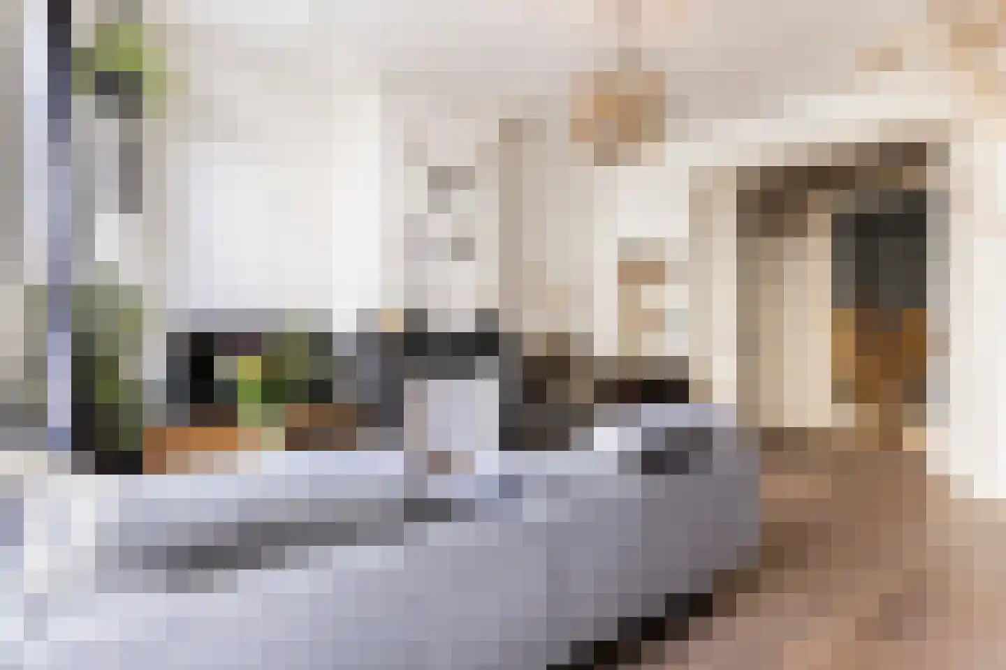 Spijkerstraat 148 1 Arnhem thumbnail 10