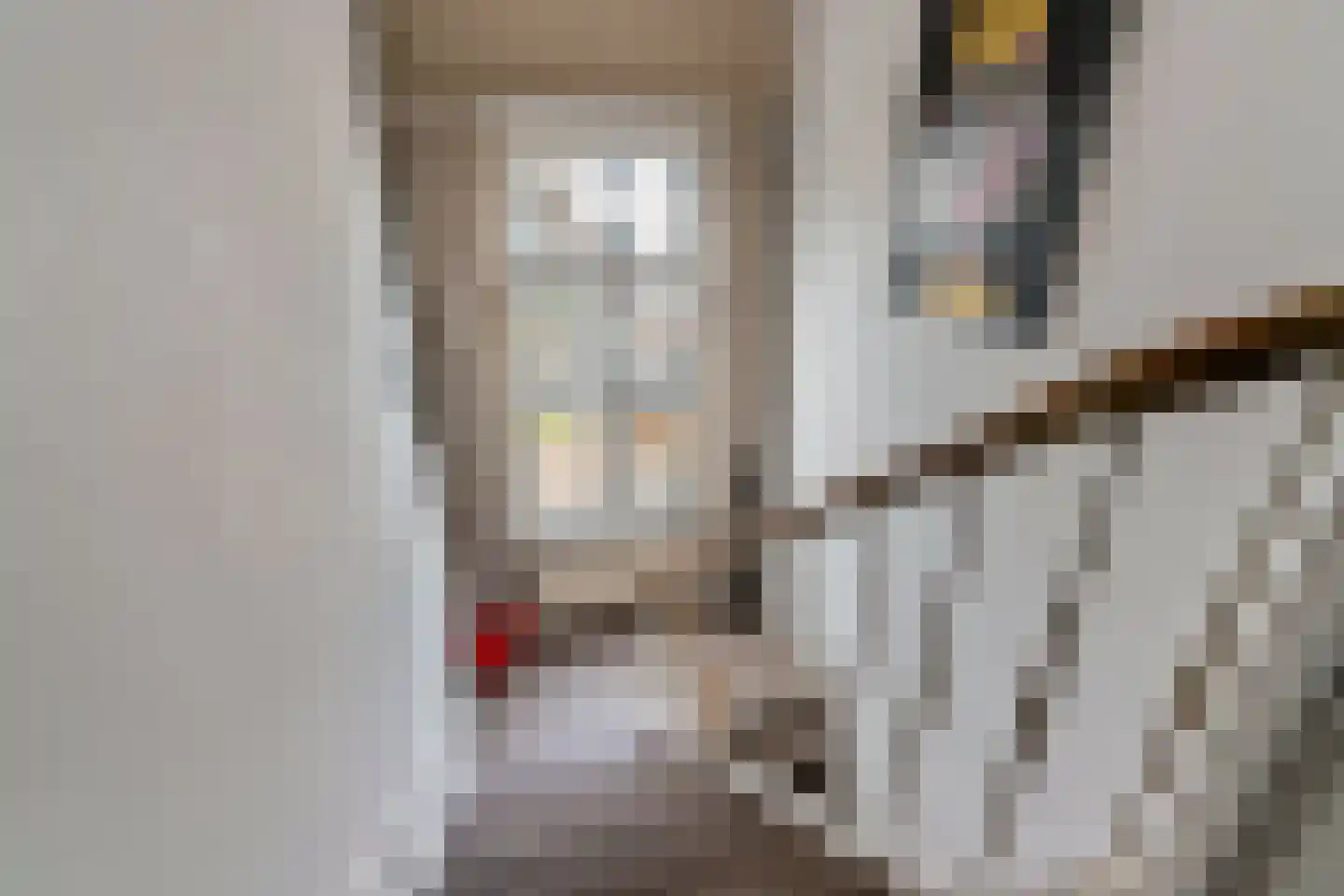 Spijkerstraat 233 1 Arnhem thumbnail 32