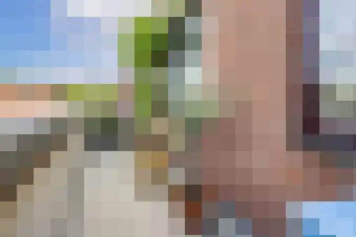 Spijkerstraat 26 Utrecht thumbnail 4