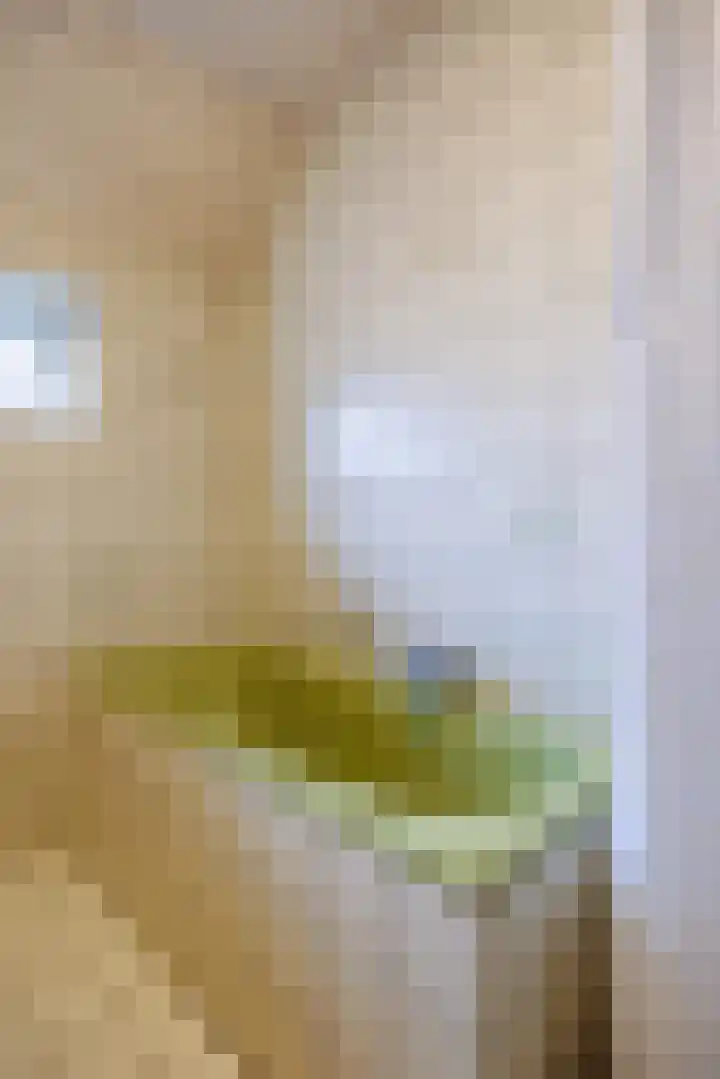 Spijkerstraat 4 Beneden-Leeuwen thumbnail 15