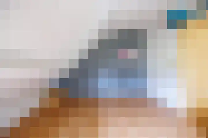 Spijkerstraat 4 Beneden-Leeuwen thumbnail 41