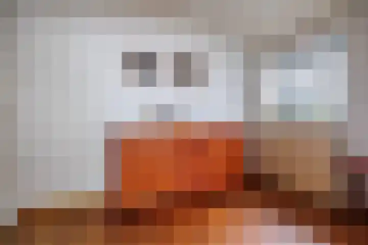 Spijkerstraat 4 Beneden-Leeuwen thumbnail 7