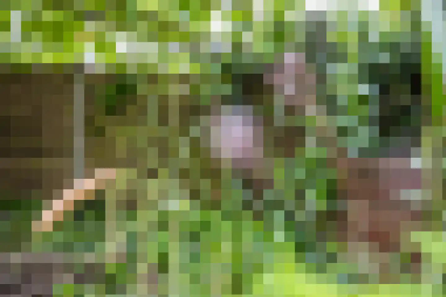 Spijkerstraat 6 Utrecht thumbnail 33
