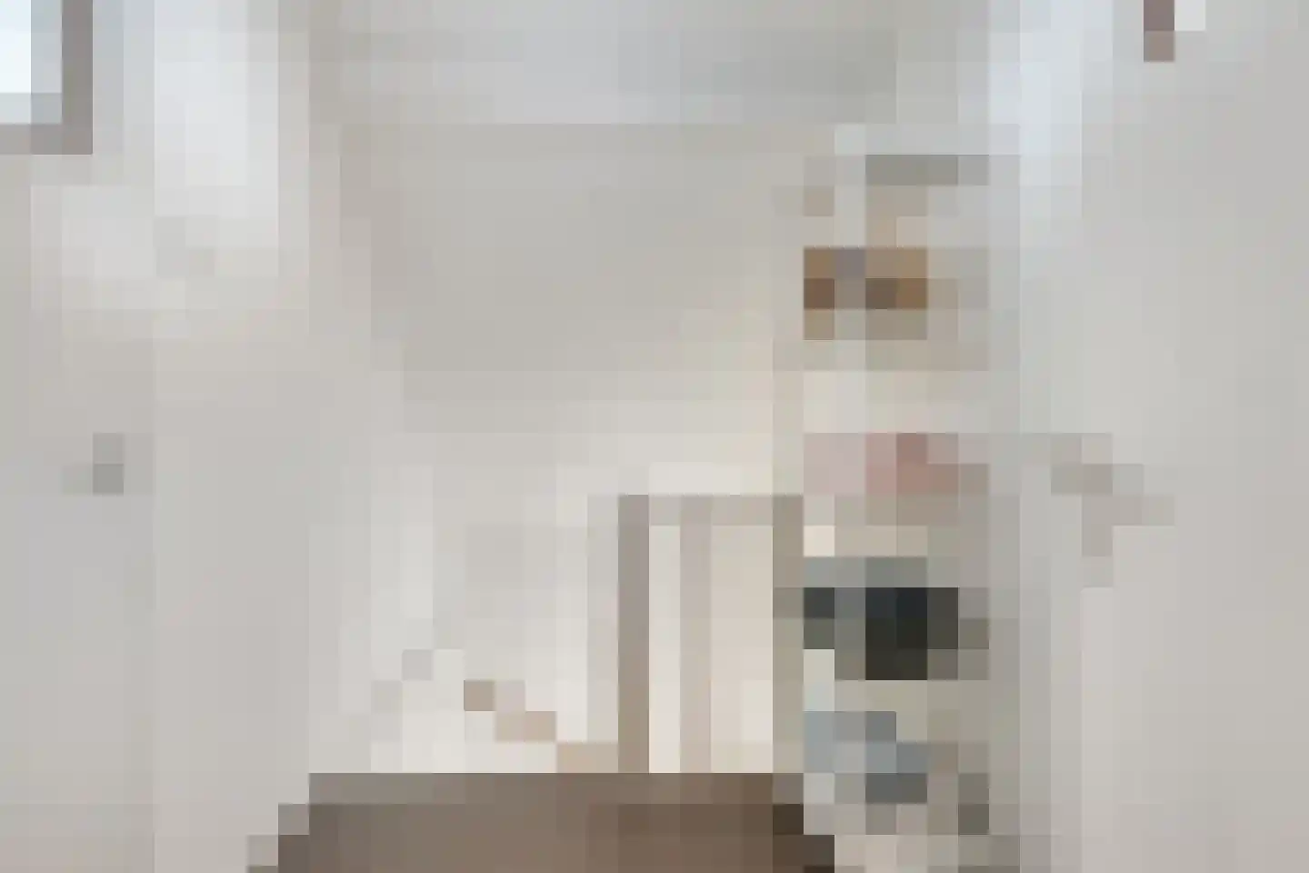 Spijkerstraat 84 Arnhem thumbnail 21