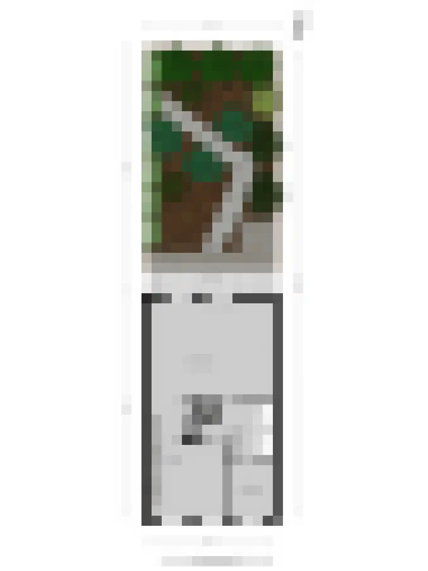 Spijkerstraat 84 Arnhem thumbnail 33
