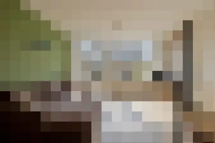 Spijkert 25 Eindhoven thumbnail 19