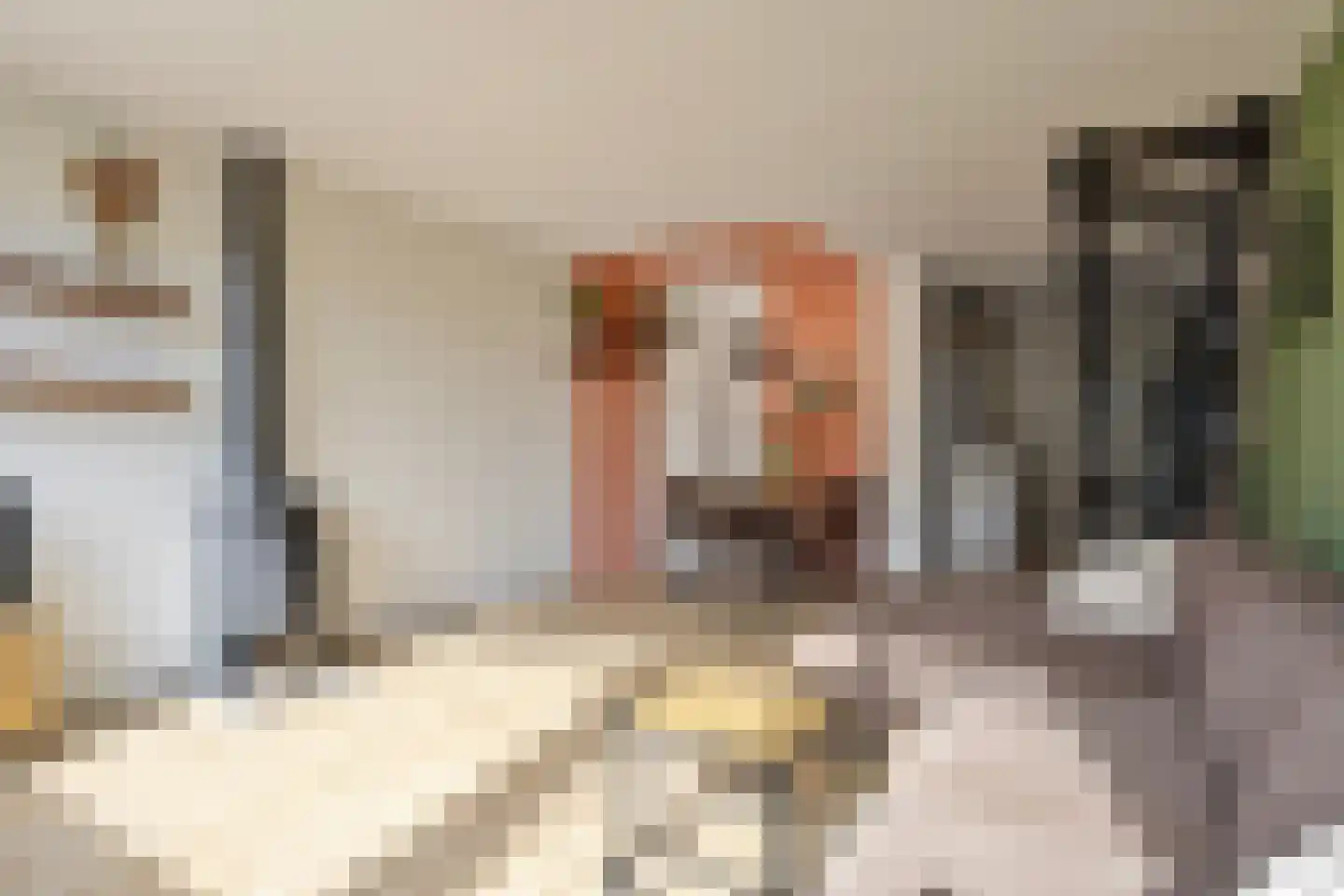 Spijkert 25 Eindhoven thumbnail 21