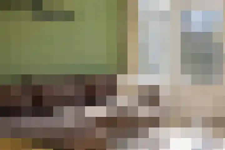 Spijkert 25 Eindhoven thumbnail 27