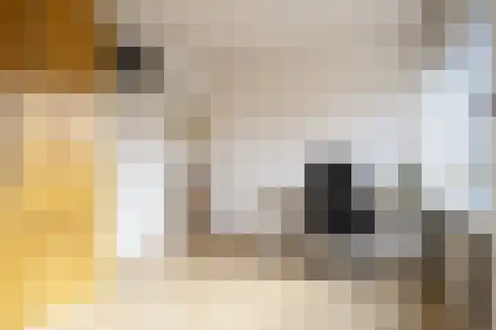 Spijkert 25 Eindhoven thumbnail 36