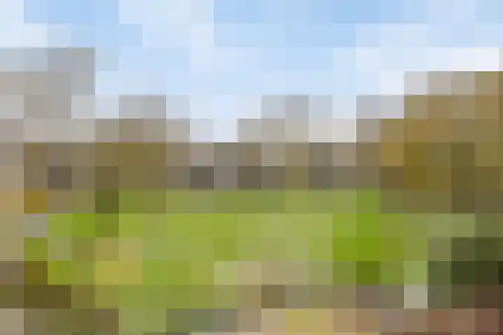 Spijkert 25 Eindhoven thumbnail 40