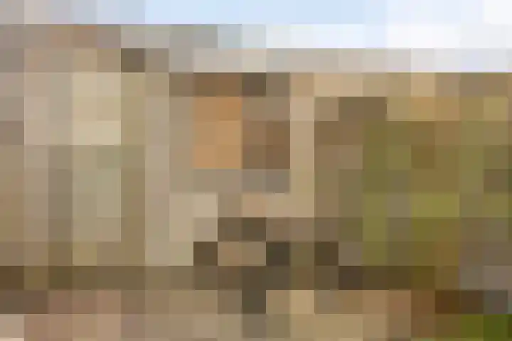 Spijkert 25 Eindhoven thumbnail 42