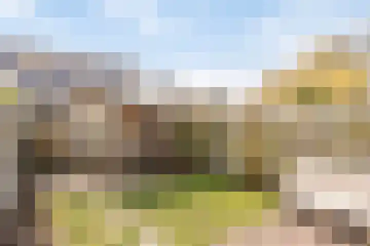 Spijkert 25 Eindhoven thumbnail 43