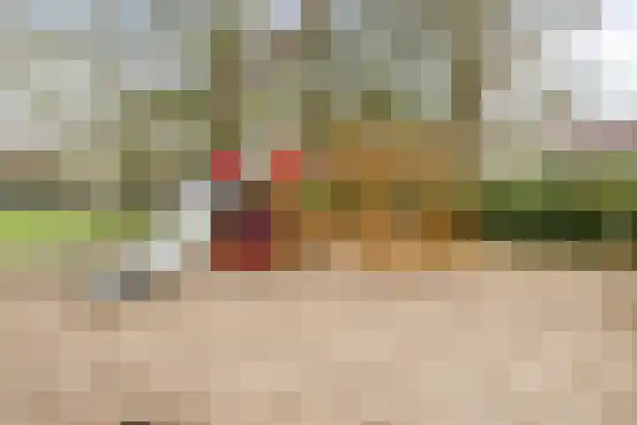 Spijkert 25 Eindhoven thumbnail 46