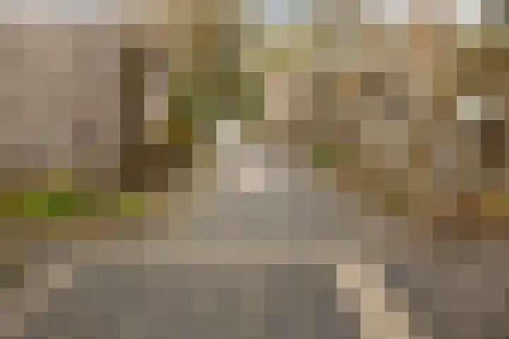 Spijkert 25 Eindhoven thumbnail 48