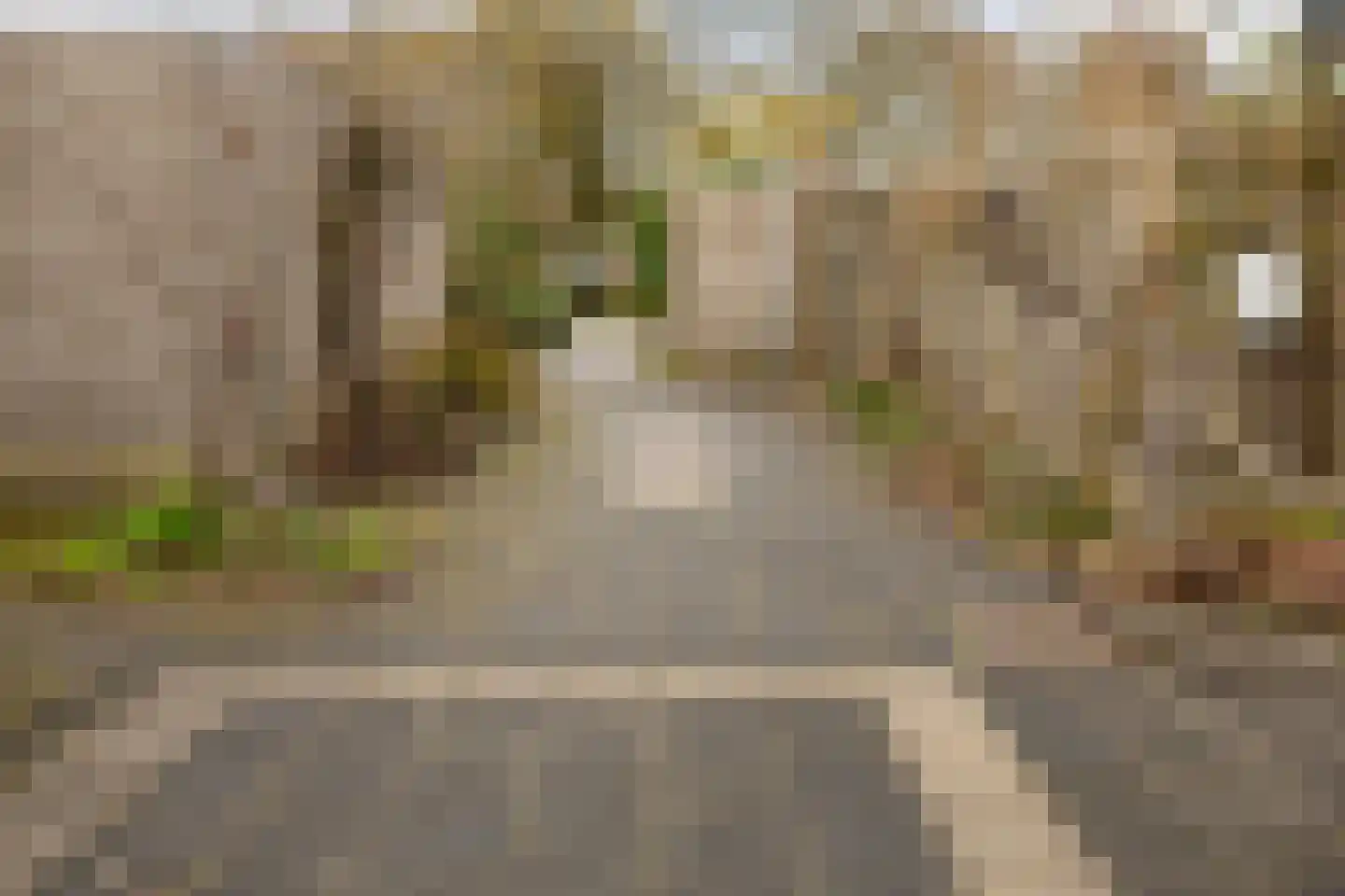 Spijkert 25 Eindhoven thumbnail 48