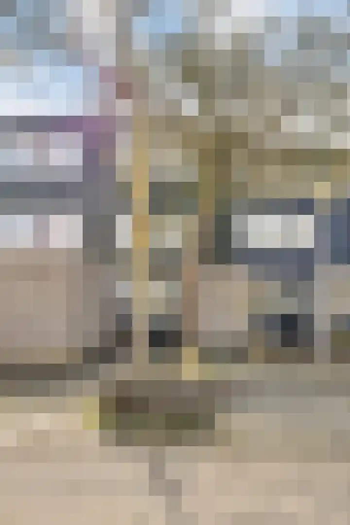 Spijkert 25 Eindhoven thumbnail 9