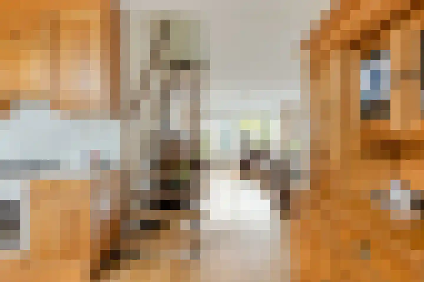 Spijkert 27 Eindhoven thumbnail 11