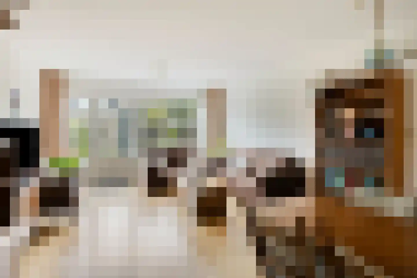 Spijkert 27 Eindhoven thumbnail 12