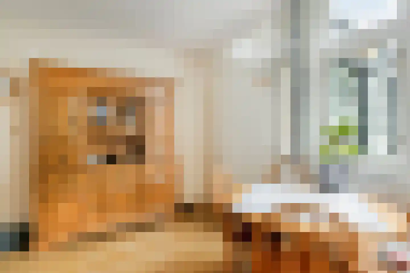 Spijkert 27 Eindhoven thumbnail 18