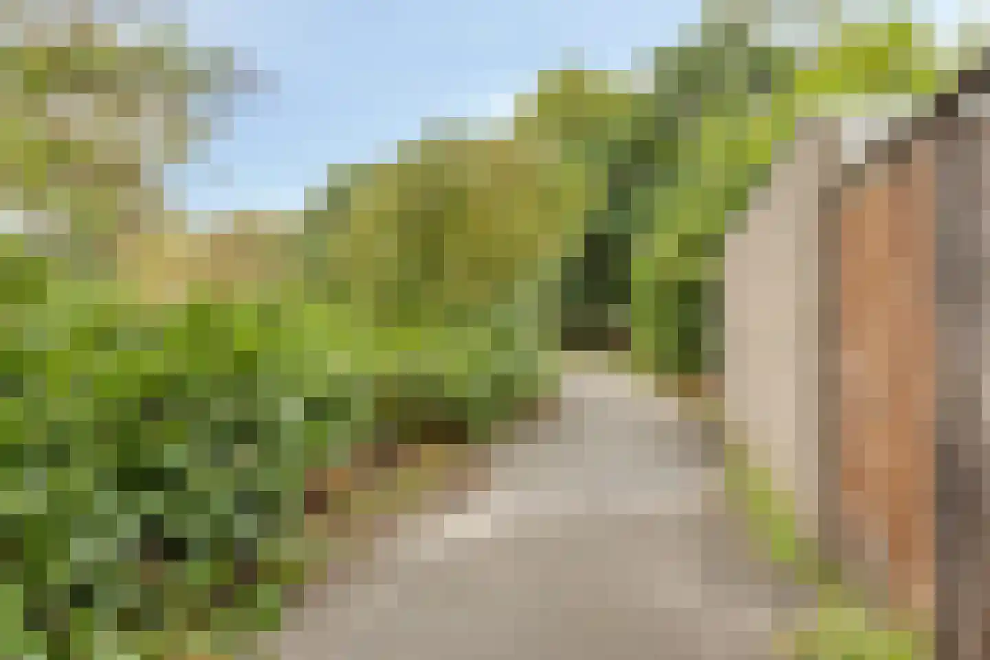 Spijkert 27 Eindhoven thumbnail 40