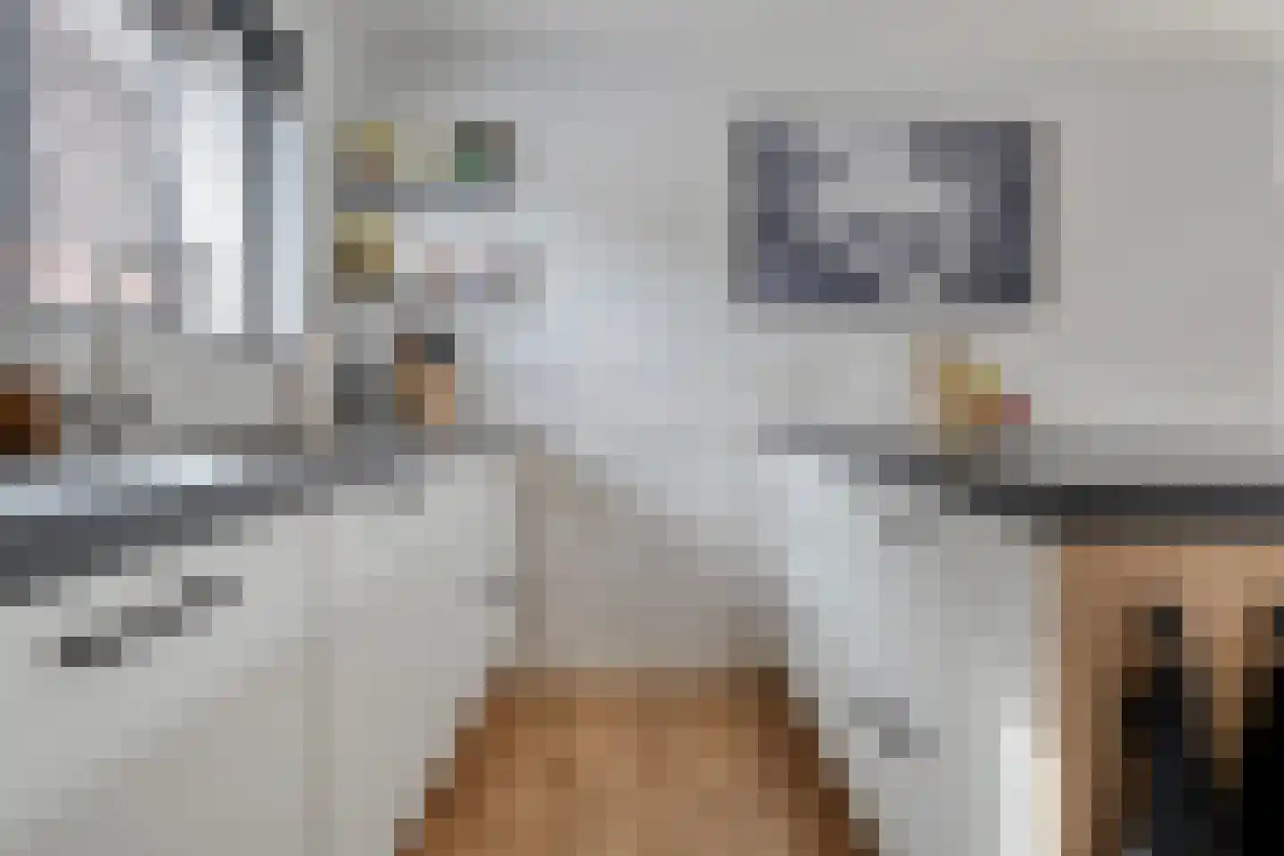 Spijkerweg 32 Nijverdal thumbnail 19