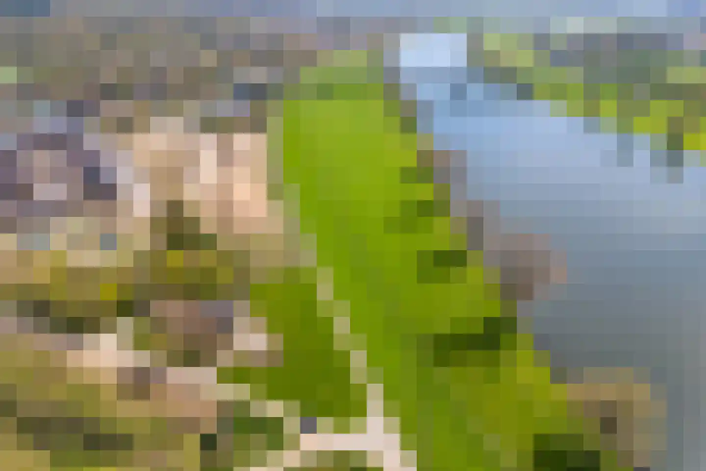 Spijkerweg 7 Molenhoek thumbnail 100