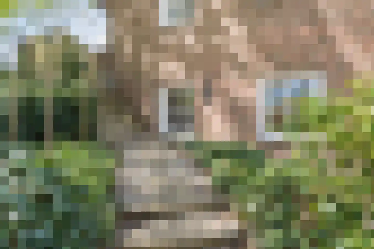 Spijkerweg 7 Molenhoek thumbnail 61