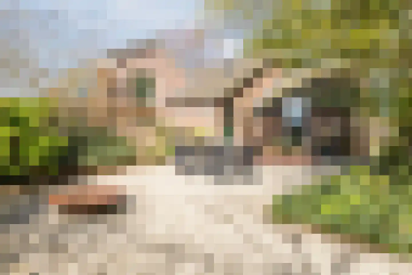 Spijkerweg 7 Molenhoek thumbnail 64