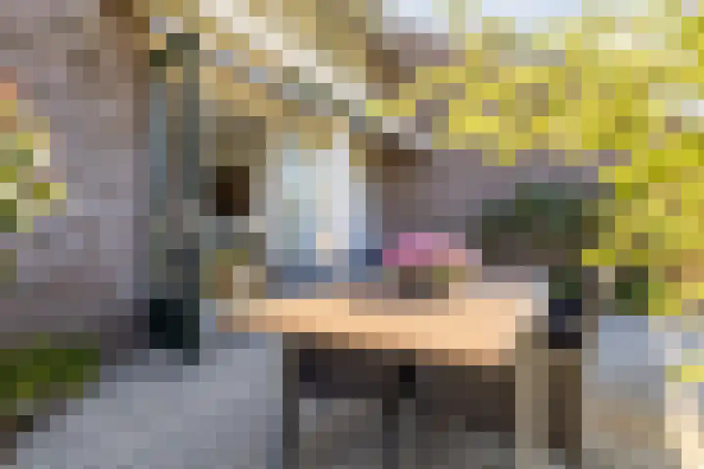 Spijkerweg 7 Molenhoek thumbnail 78