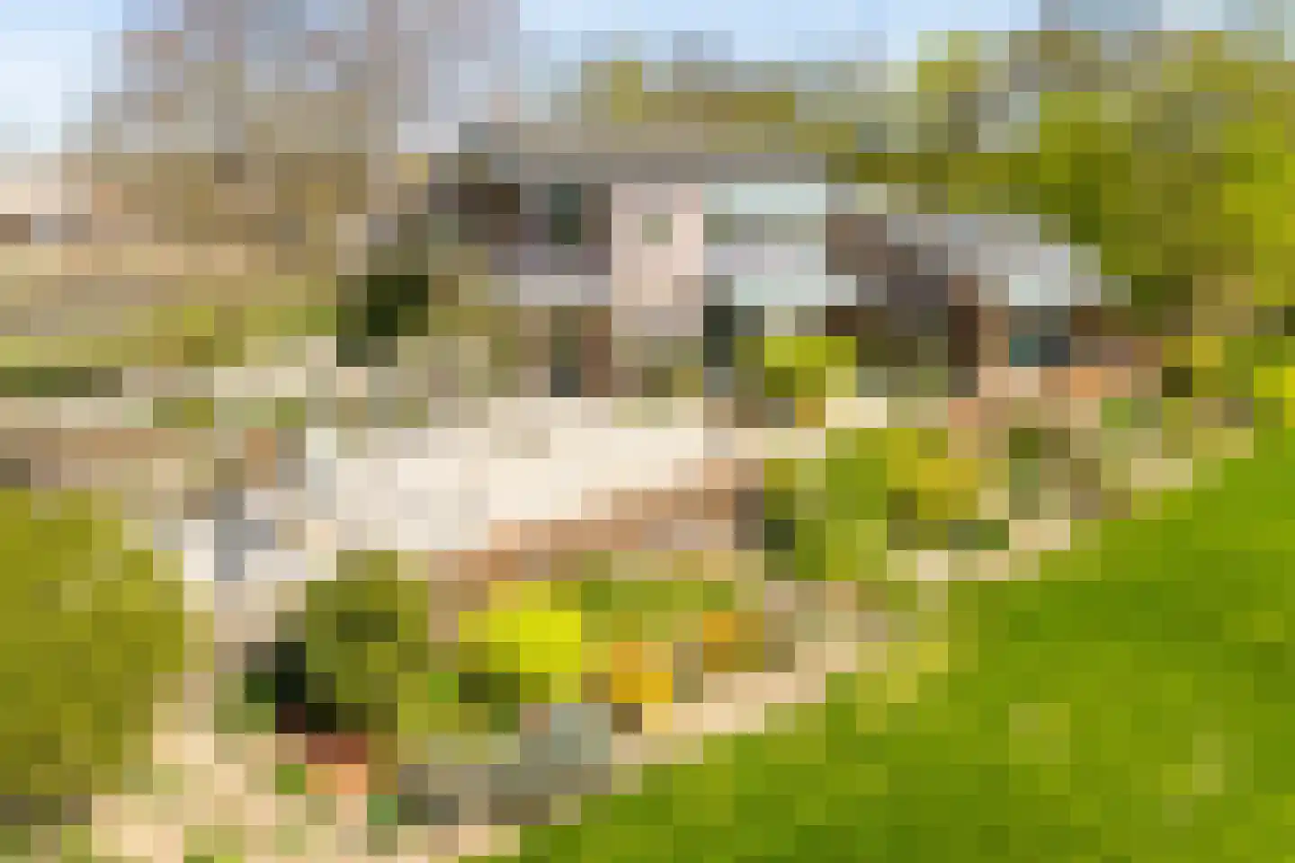 Spijkerweg 7 Molenhoek thumbnail 99
