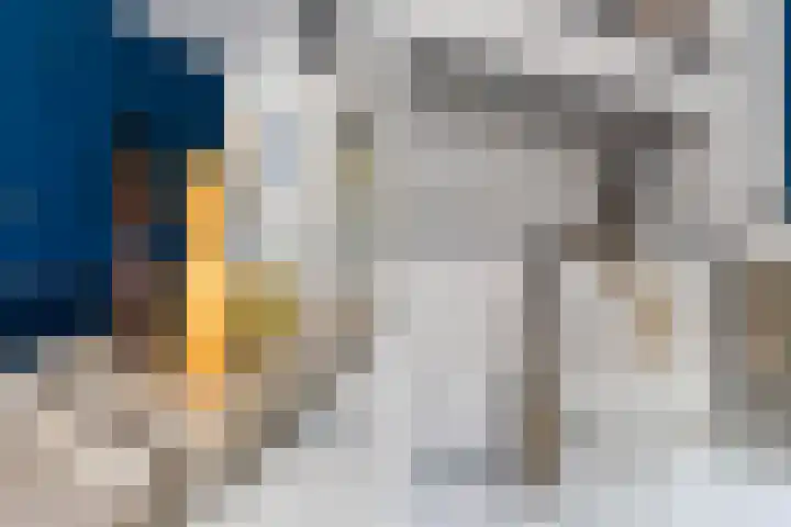 Spijkse Hof 16 Spijk thumbnail 13