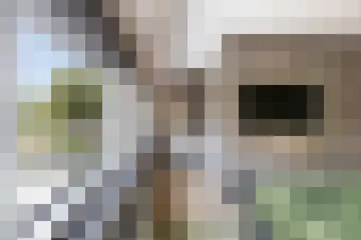 Spijkse Hof 16 Spijk thumbnail 28