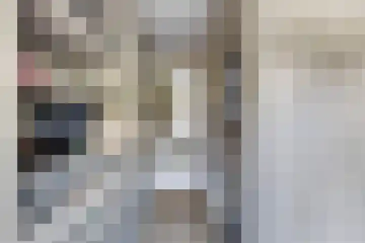 Spijkse Hof 16 Spijk thumbnail 29