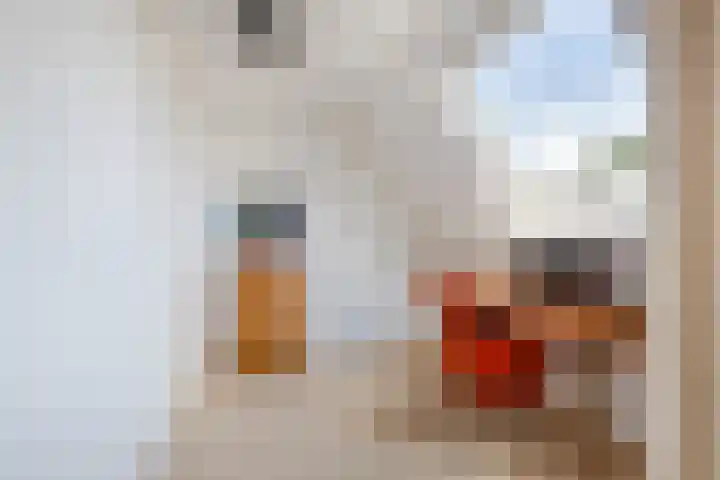 Spijkse Hof 16 Spijk thumbnail 37