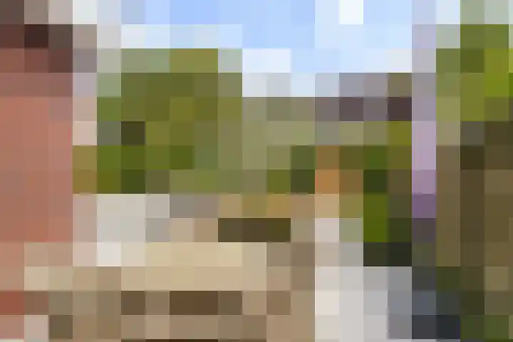 Spijkse Hof 16 Spijk thumbnail 38
