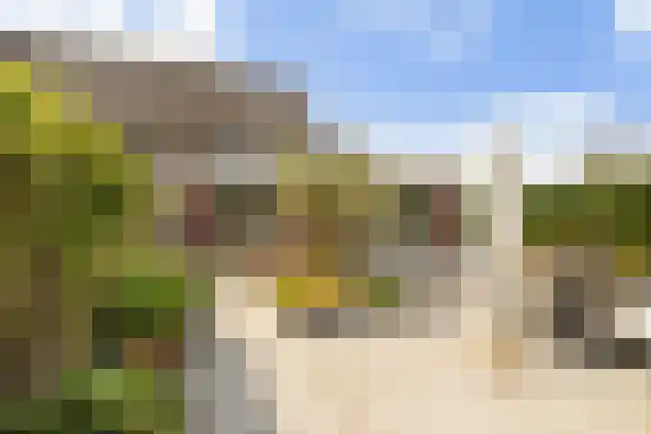 Spijkse Hof 16 Spijk thumbnail 39