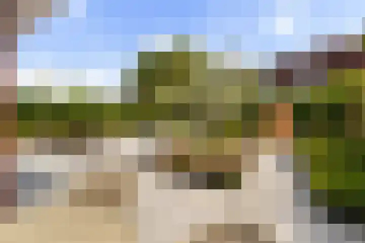 Spijkse Hof 16 Spijk thumbnail 4