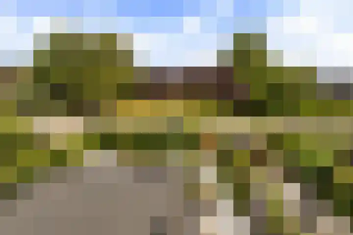 Spijkse Hof 16 Spijk thumbnail 40