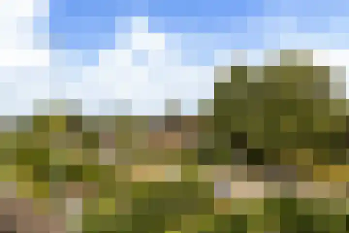 Spijkse Hof 16 Spijk thumbnail 41