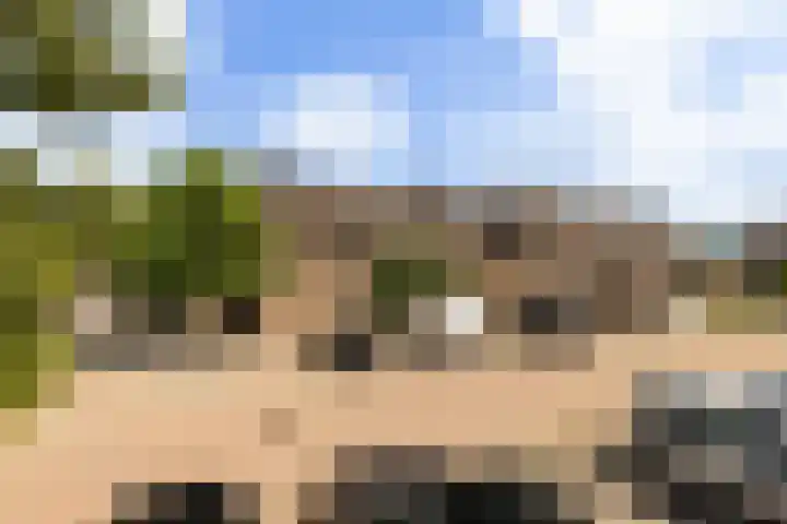 Spijkse Hof 16 Spijk thumbnail 42