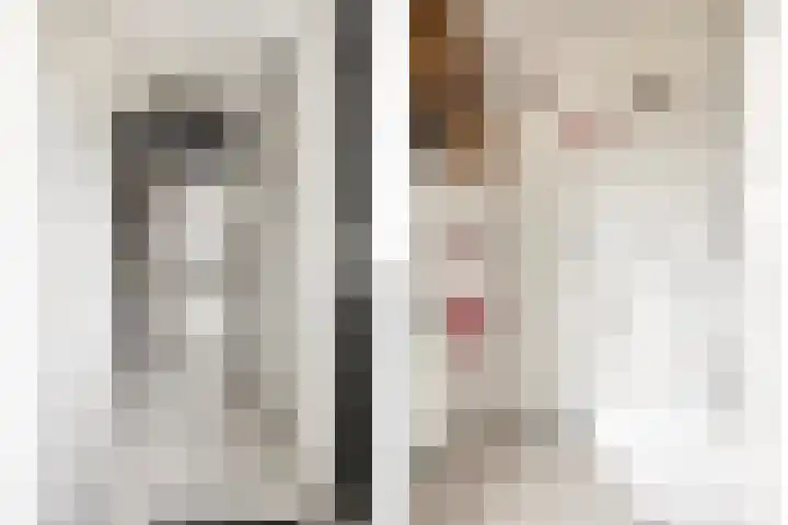 Spijkse Hof 6 Spijk thumbnail 12