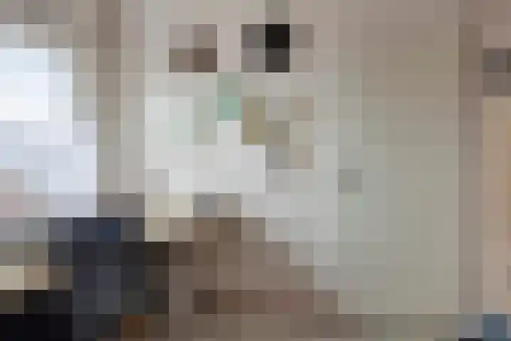 Spijkse Hof 6 Spijk thumbnail 18