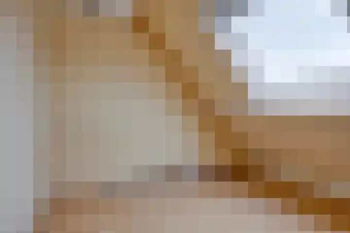 Spijkse Hof 6 Spijk thumbnail 21