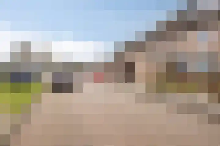 Spijkse Hof 6 Spijk thumbnail 26