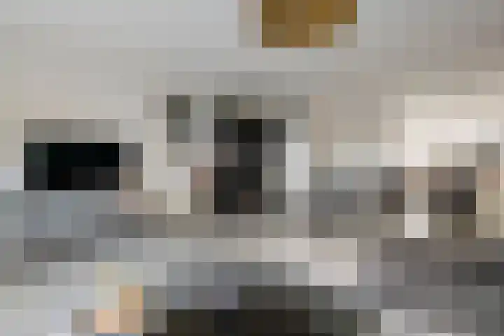 Spijkse Kweldijk 104 c Spijk thumbnail 10