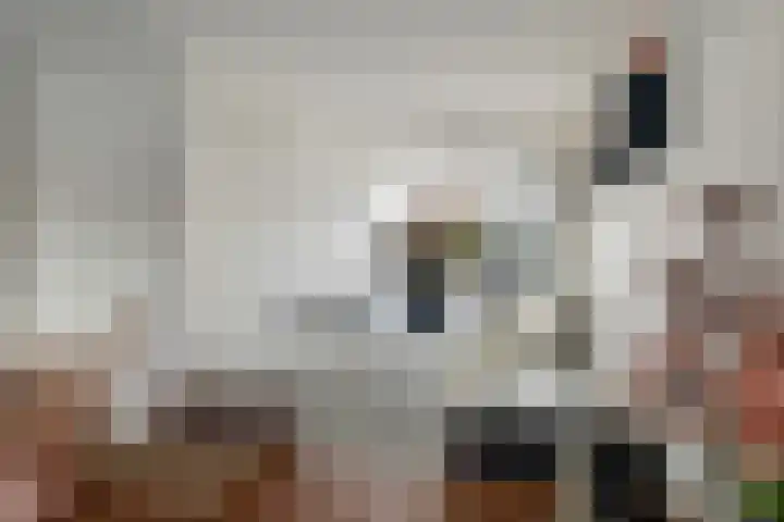 Spijkse Kweldijk 104 c Spijk thumbnail 11