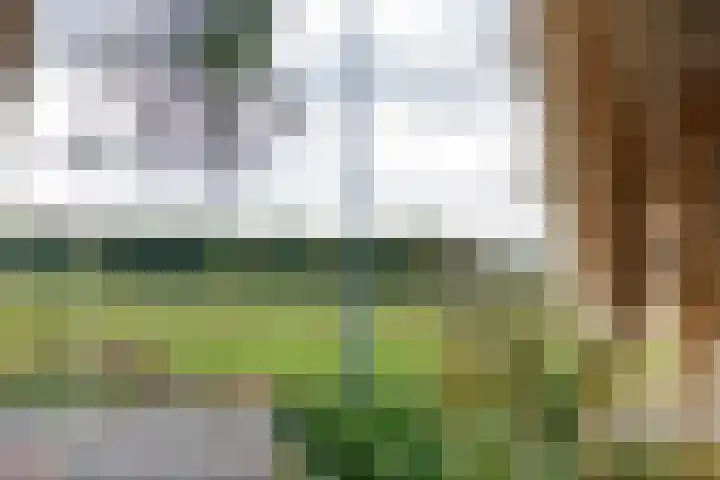 Spijkse Kweldijk 104 c Spijk thumbnail 15