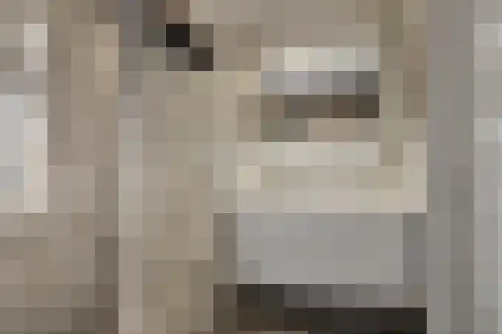 Spijkse Kweldijk 104 c Spijk thumbnail 28