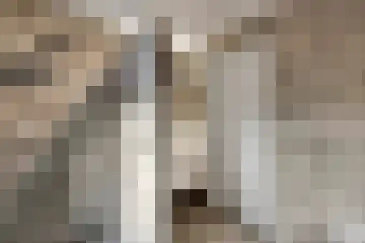 Spijkse Kweldijk 104 c Spijk thumbnail 29