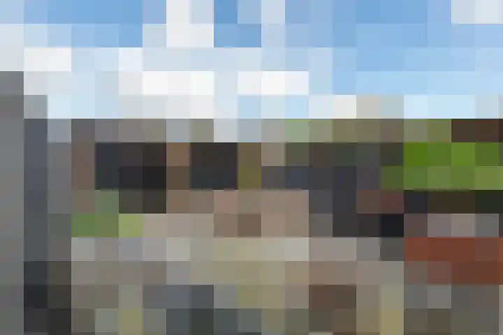 Spijkse Kweldijk 104 c Spijk thumbnail 39